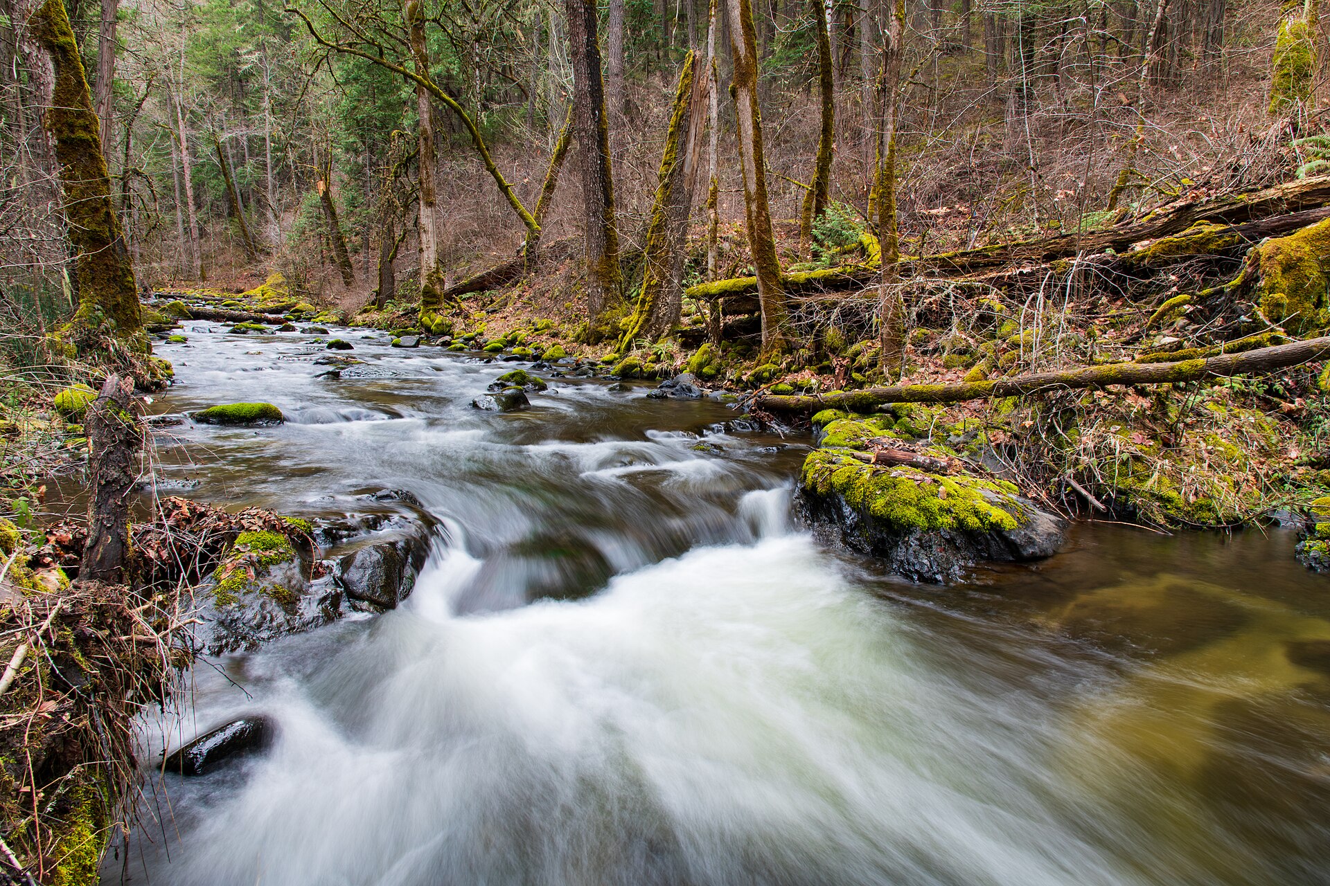 BLM photo: Kyle Sullivan The Little Applegate River can be found nearby the historic Sterling Mine Ditch Trail (SMDT), which is located s…