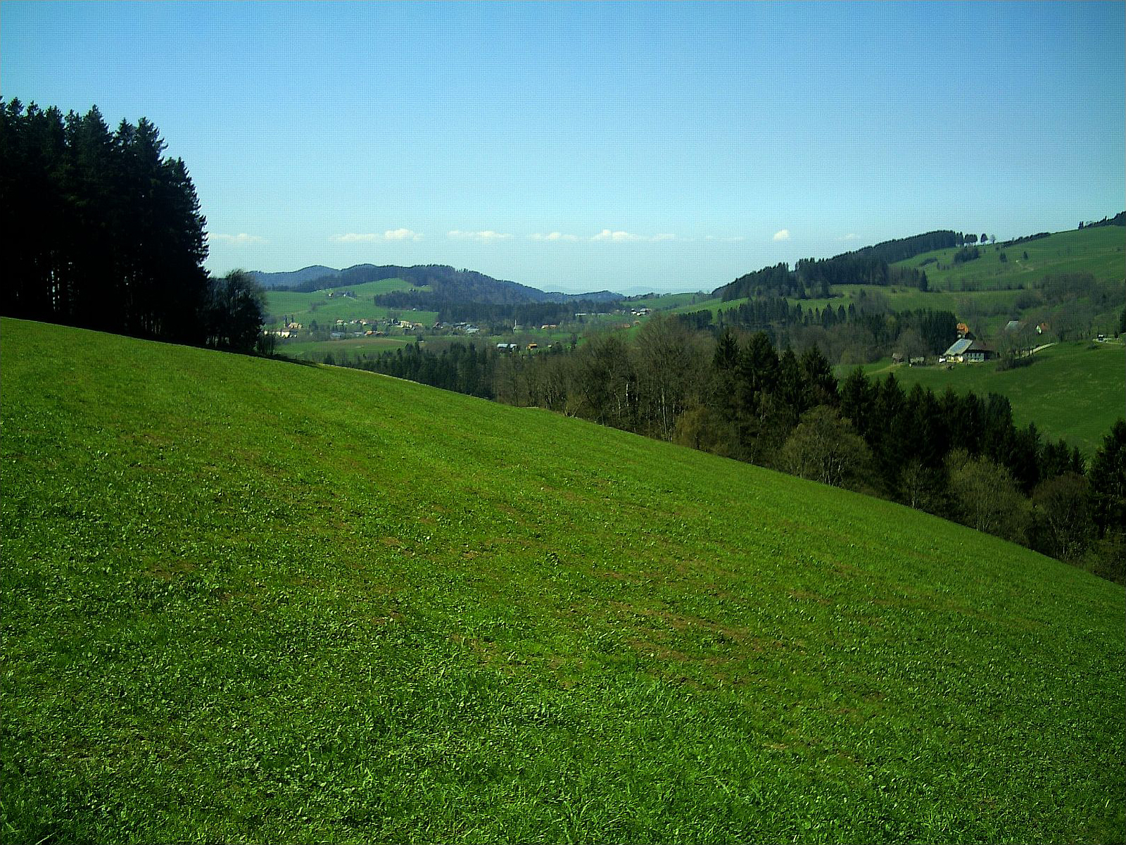 St. Peter (Hochschwarzwald)