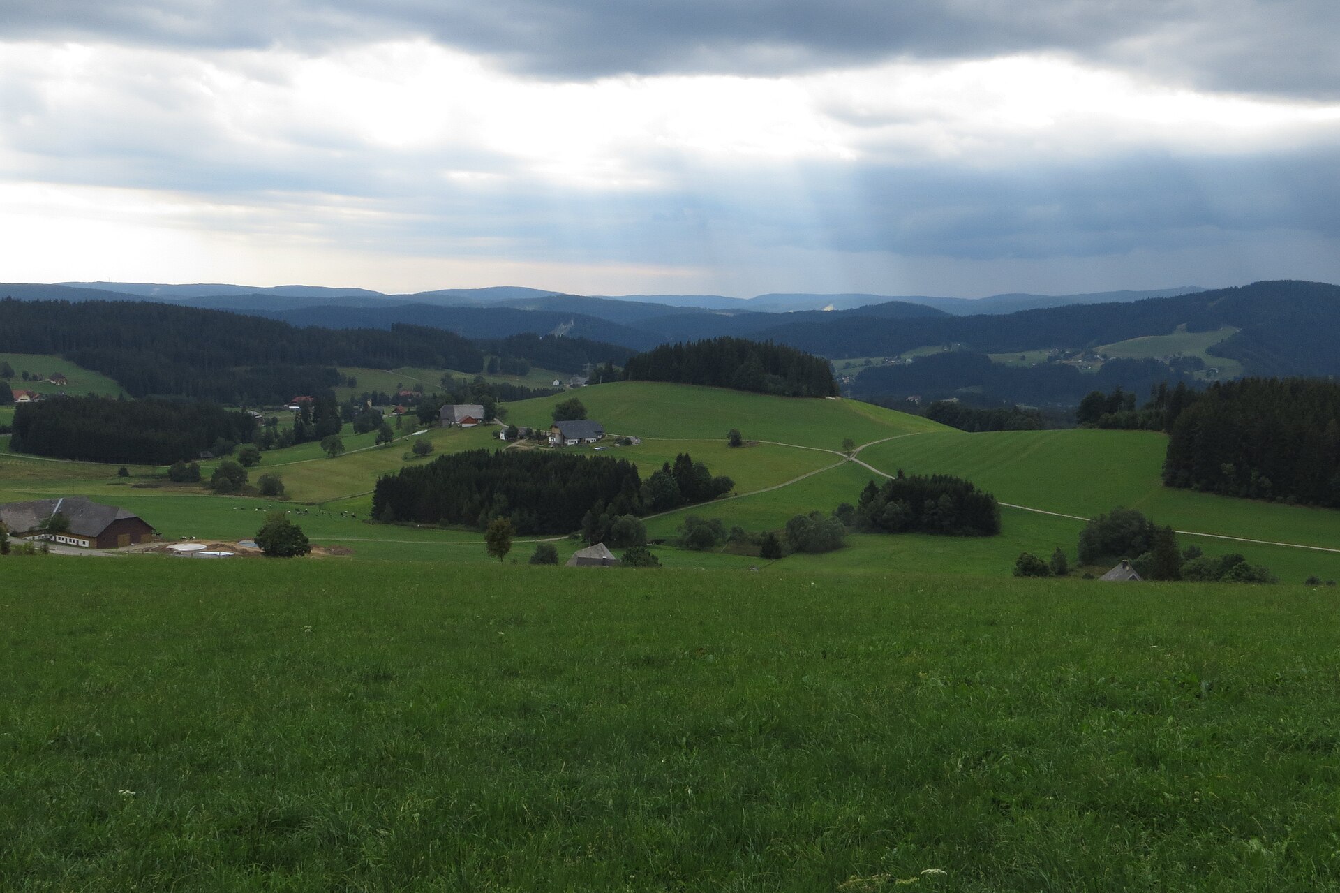 Die Seele des Schwarzwaldes: Mehr als Kuckucksuhren