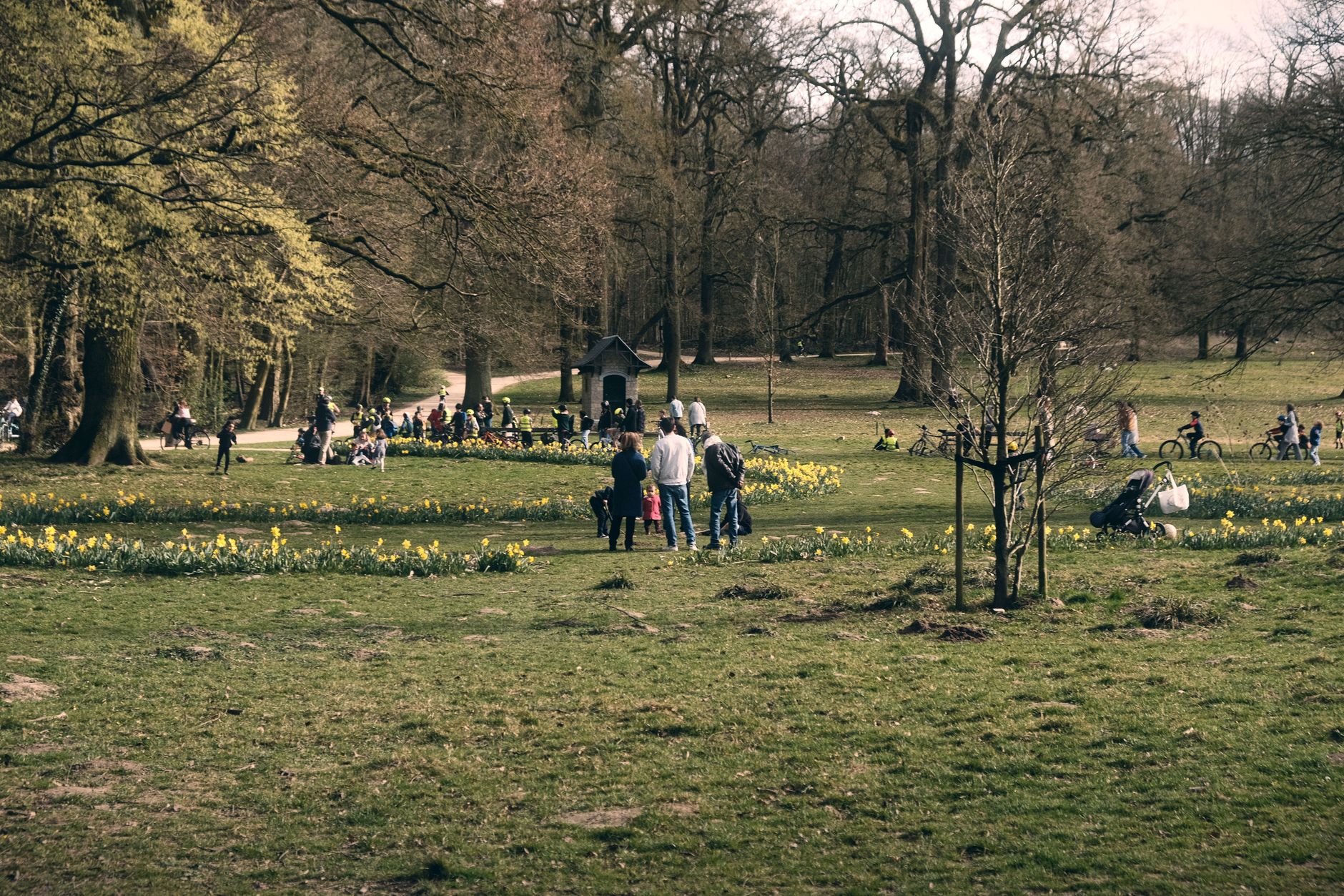 A lively spring day in a Ghent park with families enjoying outdoor activities.